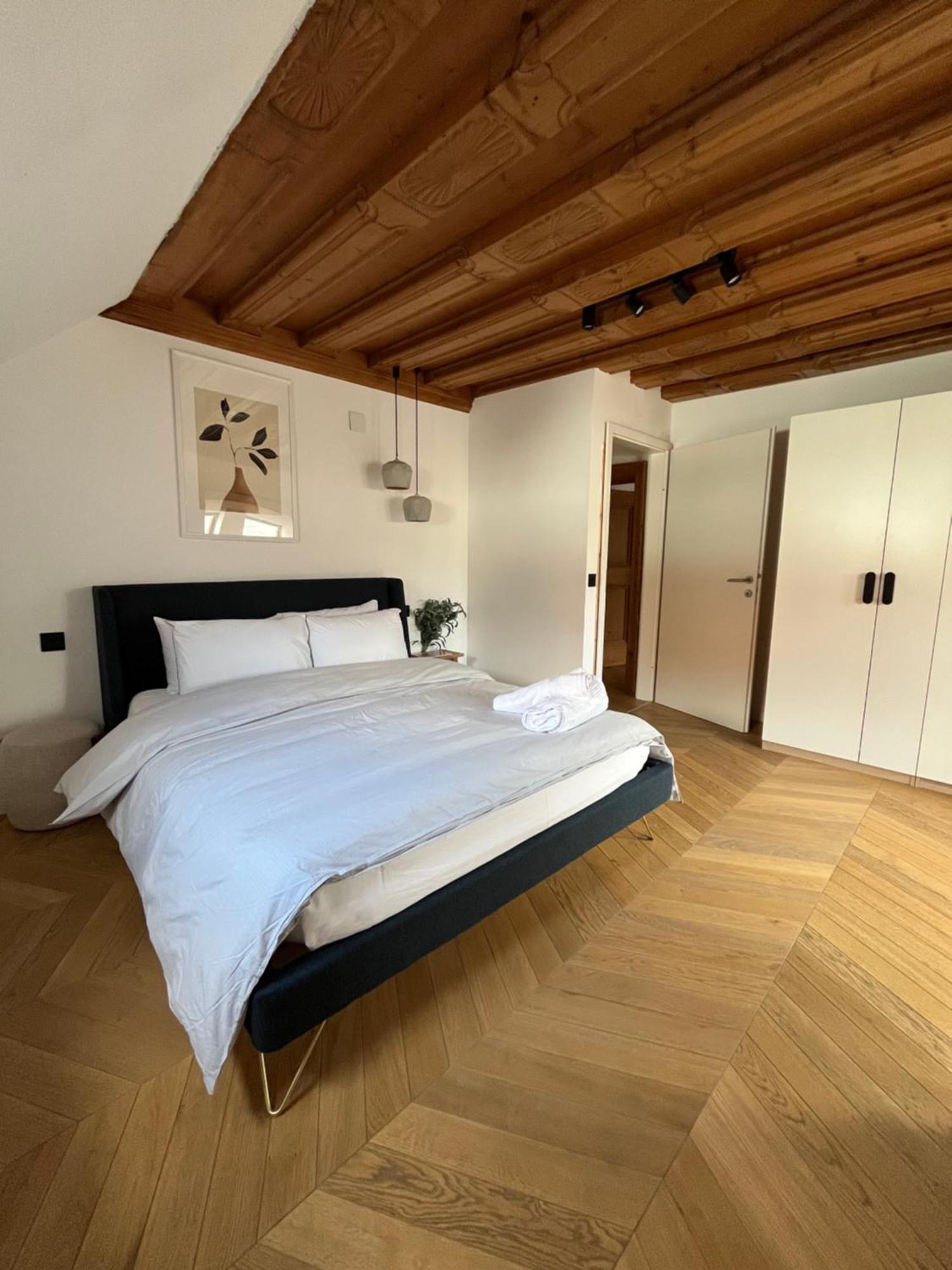Steyr Old Town Loft - A Charming 3 Bedroom Oasis ภายนอก รูปภาพ