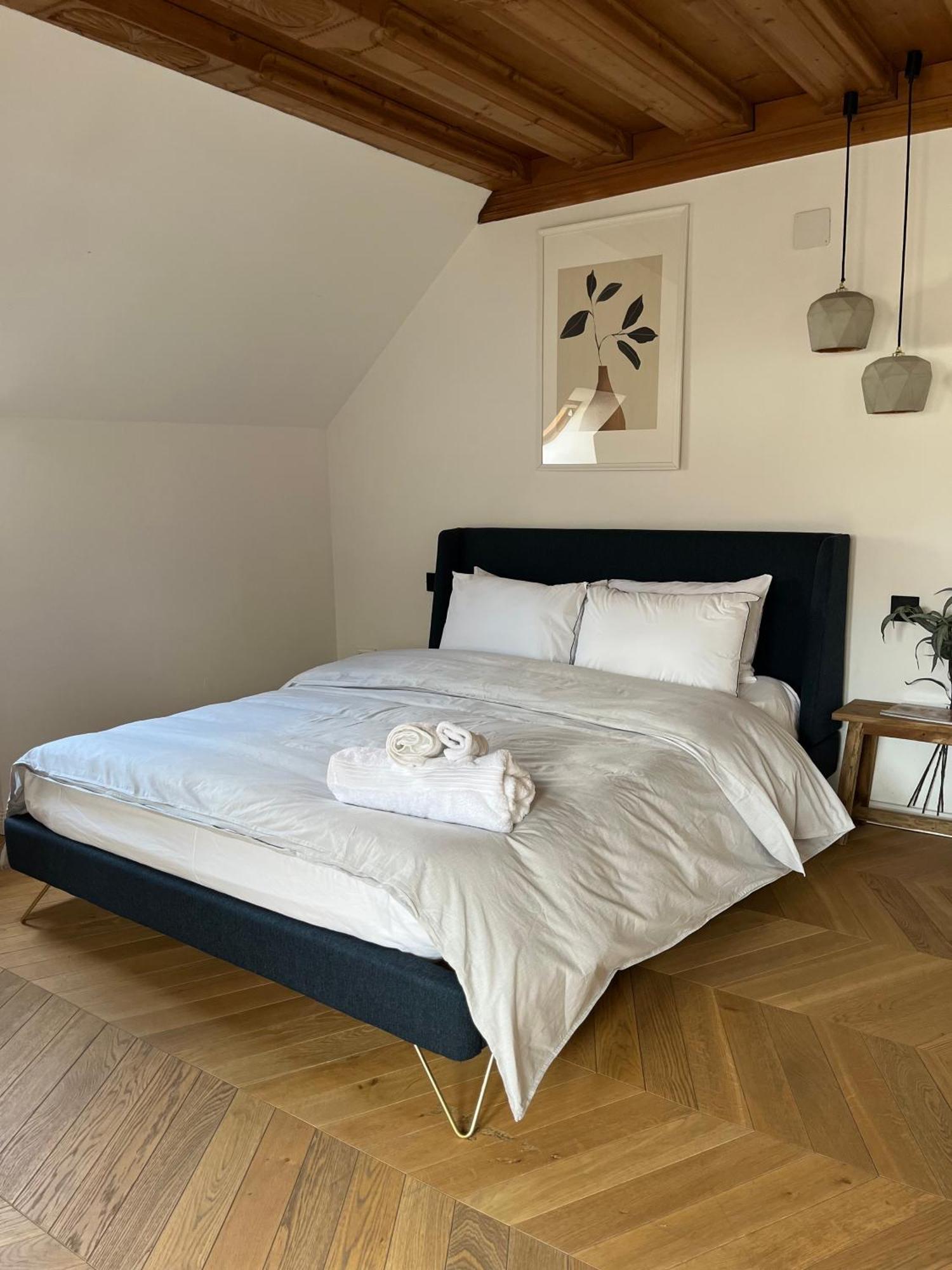 Steyr Old Town Loft - A Charming 3 Bedroom Oasis ภายนอก รูปภาพ